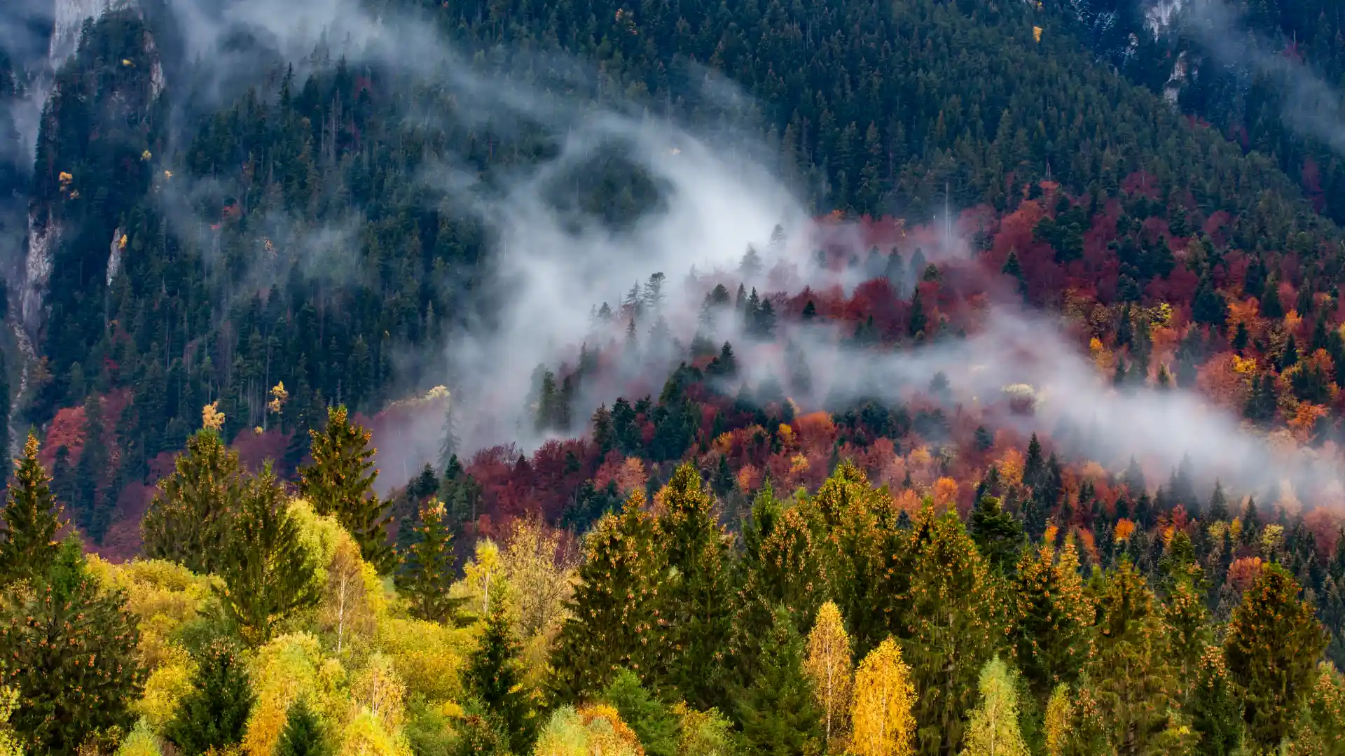 Intro Product Background